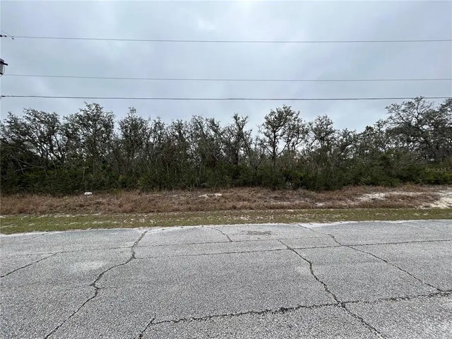 509 Sarasota Ln, KISSIMMEE