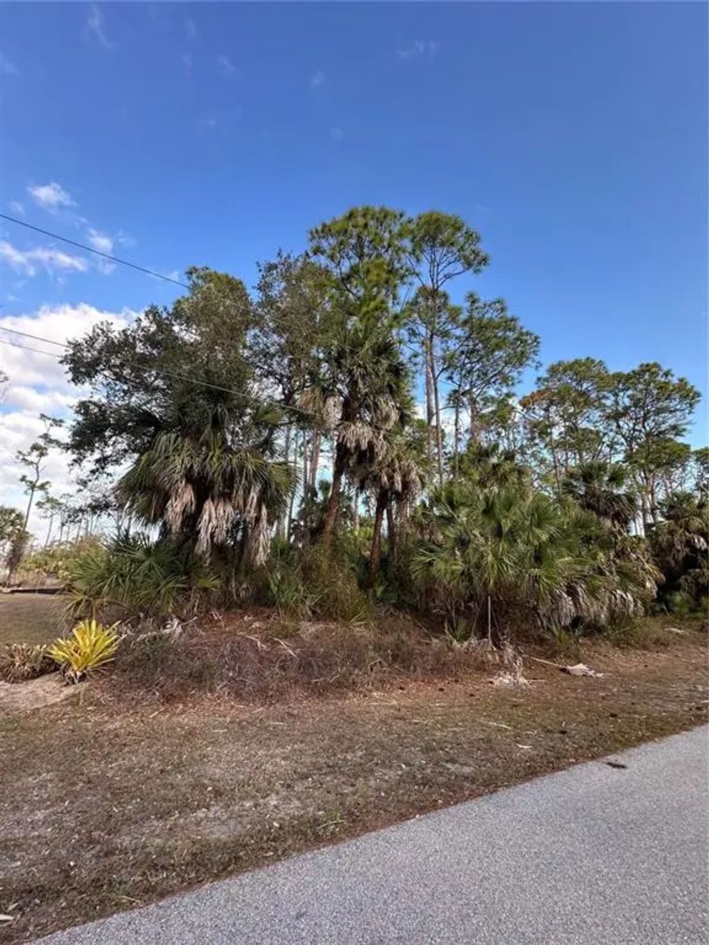 Joann Terrace, NORTH PORT