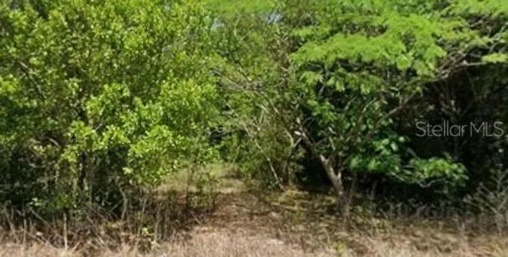 19949 Rainbow Lakes Boulevard, DUNNELLON