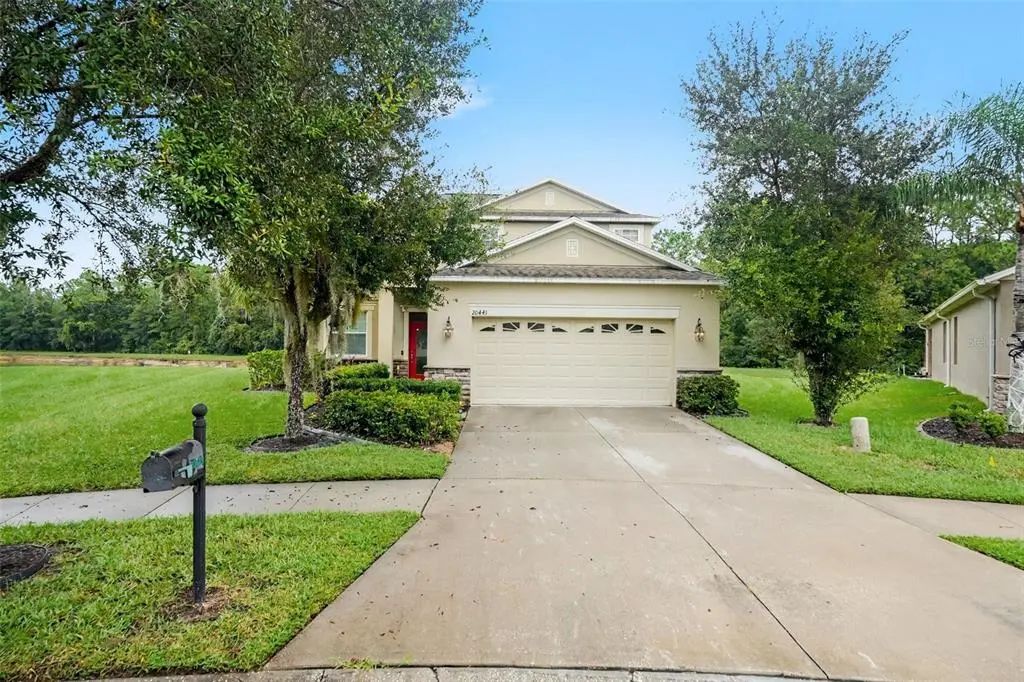 20443 Autumn Fern Avenue, TAMPA