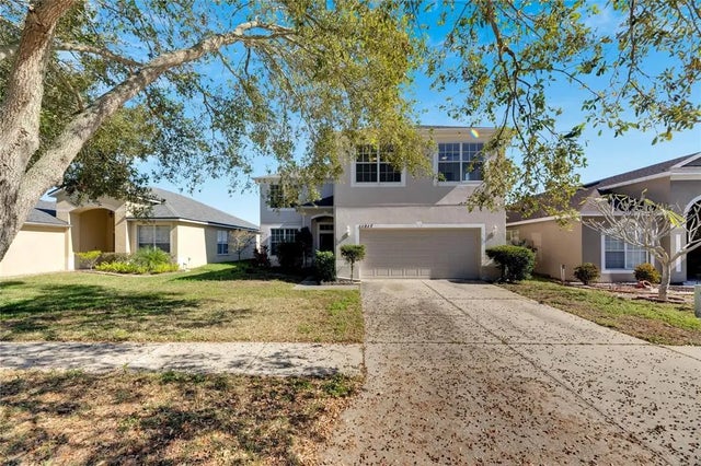 11217 Avery Oaks Drive, TAMPA