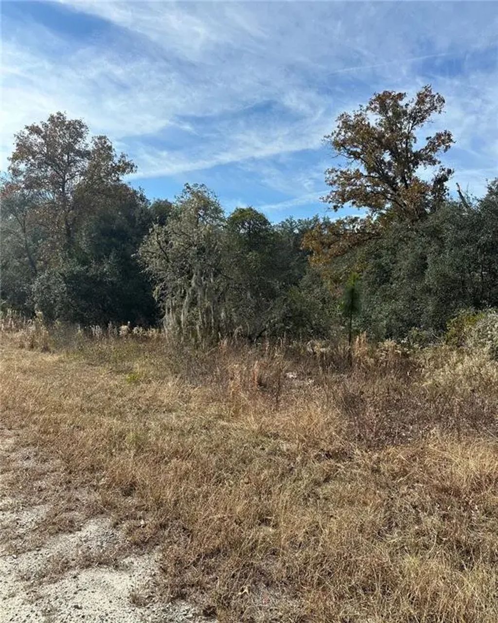 Lot 26 Se 133rd Avenue, DUNNELLON