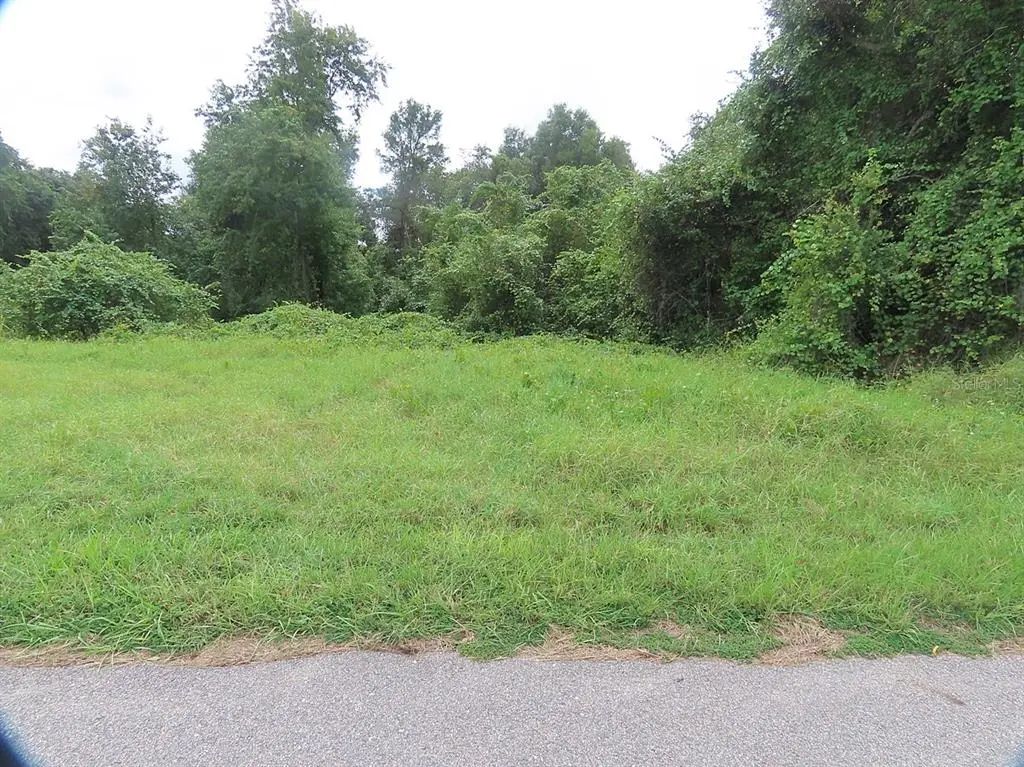 17701 Seidner Road, WINTER GARDEN