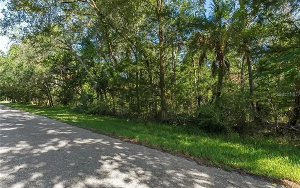 10975 W Rockhaven Lane, HOMOSASSA