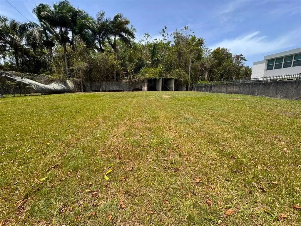 Carr 738 Km 1.4 Bo Montellano, CAYEY