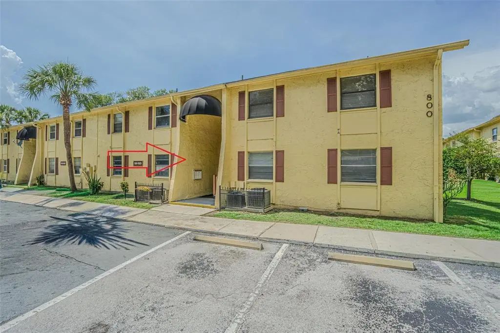 7517 Abonado Road 7517, TAMPA