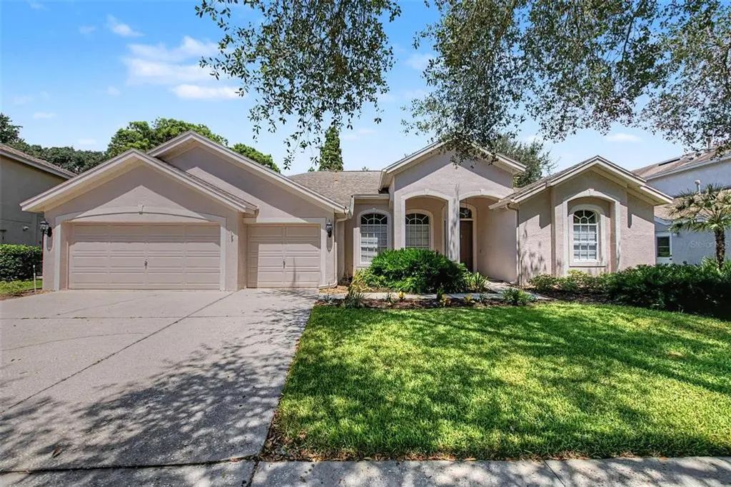 19205 Autumn Woods Avenue, TAMPA