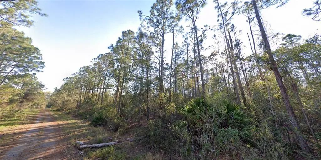 1054 Robin Street, LAKE PLACID