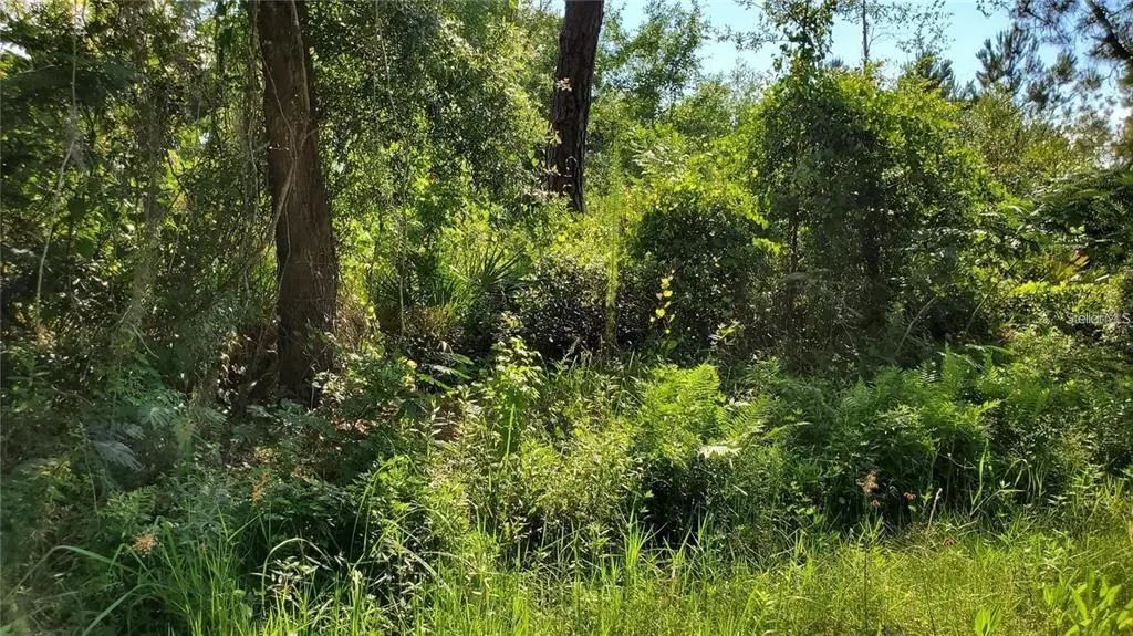 103 Bowfin Drive, SATSUMA