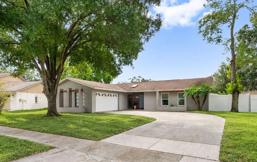 4010 Braesgate Lane, TAMPA