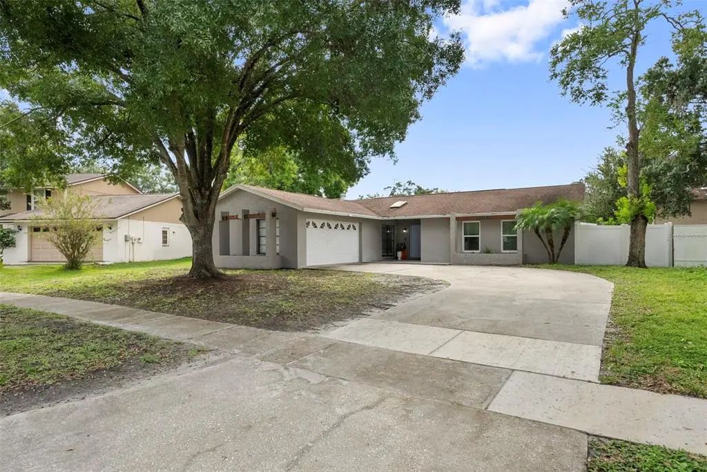 4010 Braesgate Lane, TAMPA