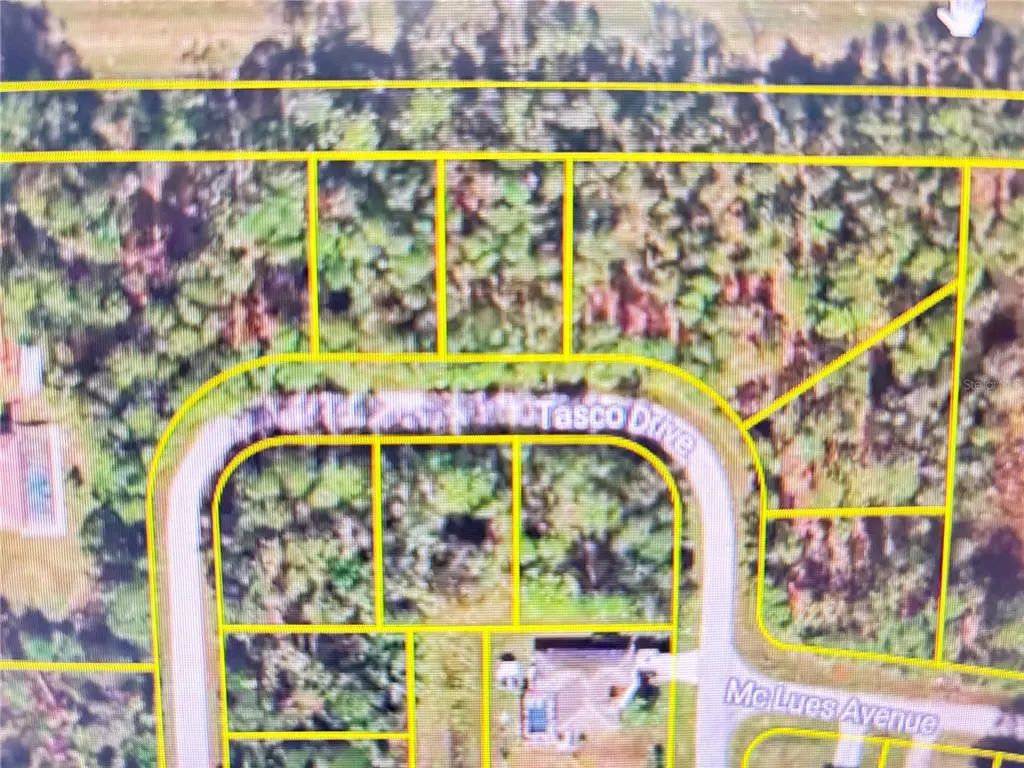 Tasco Lots 2,3, & 4 Drive, NORTH PORT