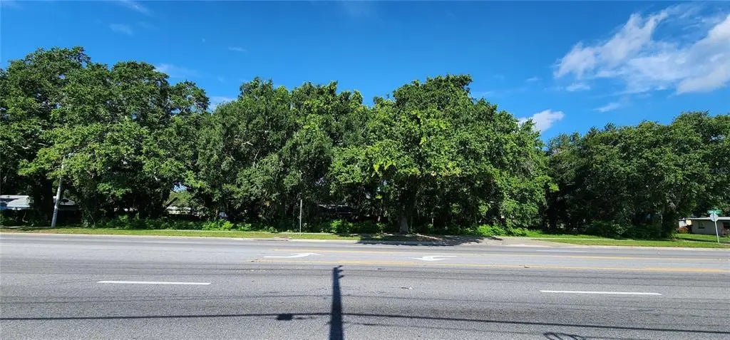 Michigan Avenue, KISSIMMEE