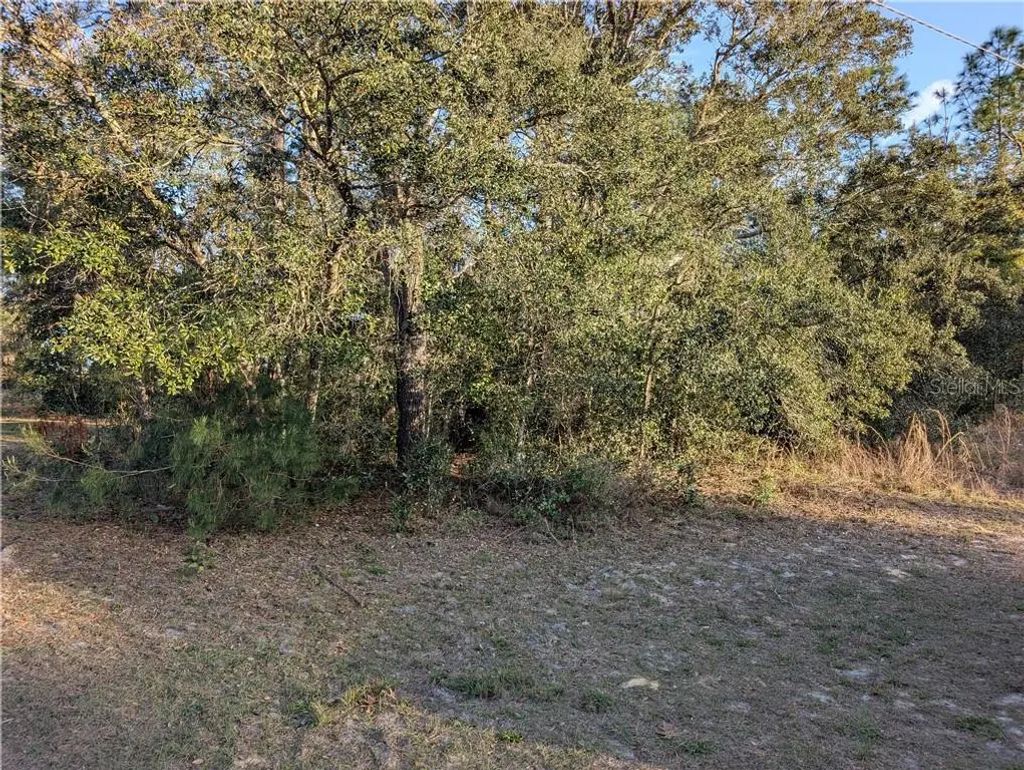 8949 N Lansen Way, Citrus Springs