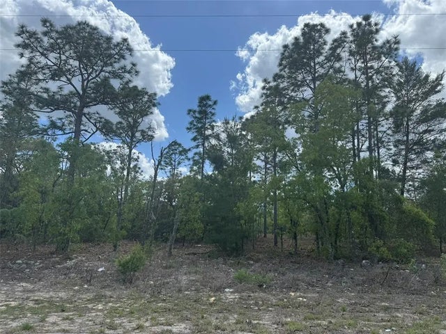 3000 W Liza Place, DUNNELLON