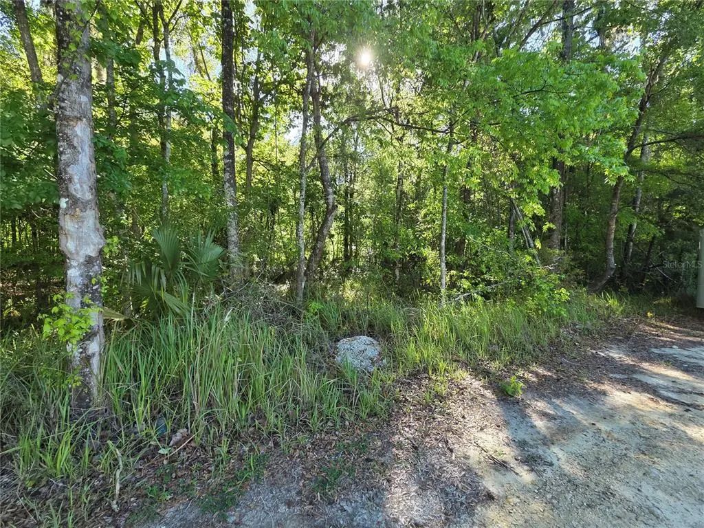 Se 42nd Court, BELLEVIEW