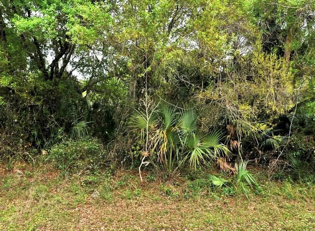 Backert Rd., NORTH PORT