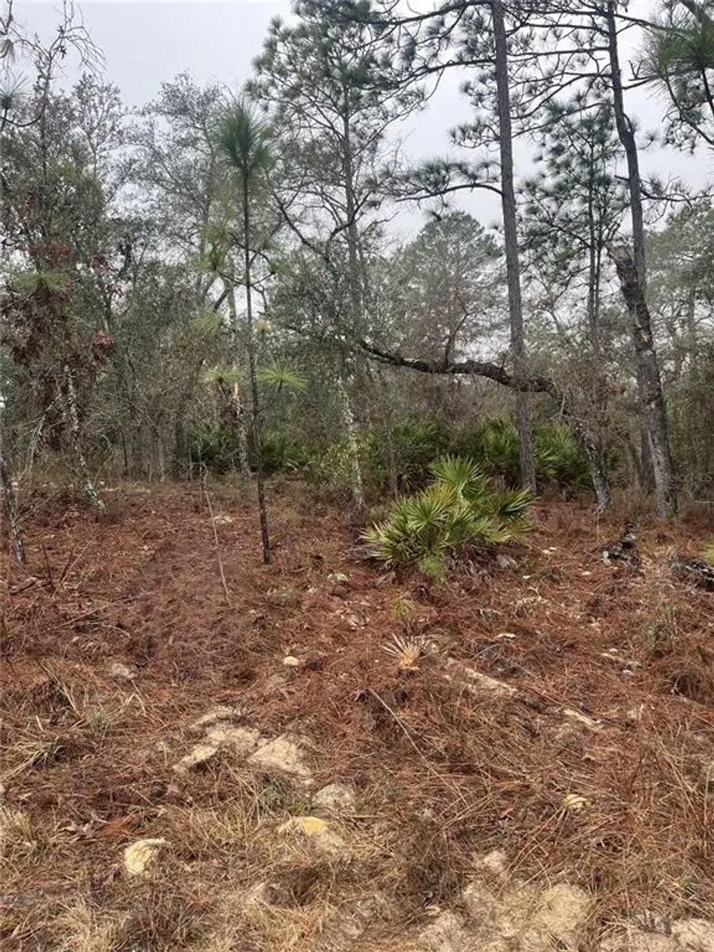 6692 N Airmont Drive, DUNNELLON