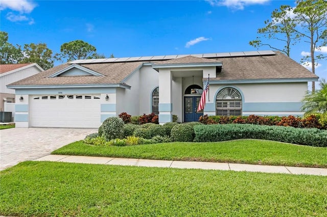11206 Pocket Brook, TAMPA