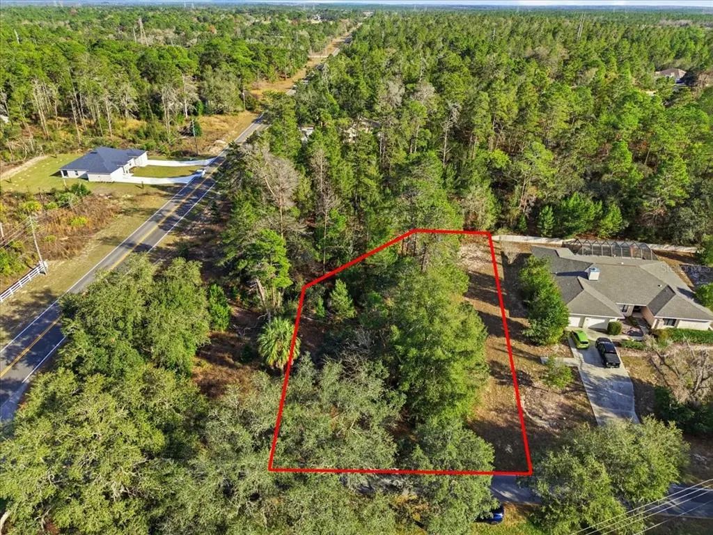 118 Oak Village Boulevard, HOMOSASSA