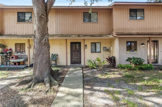 3920 Cedar Limb Court, TAMPA