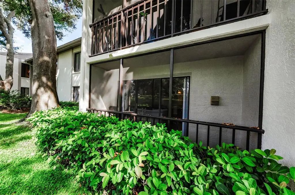 2575 Pine Ridge Way S E1, PALM HARBOR