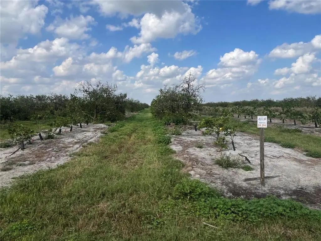 Ne Hwy 70 04-24-04, ARCADIA