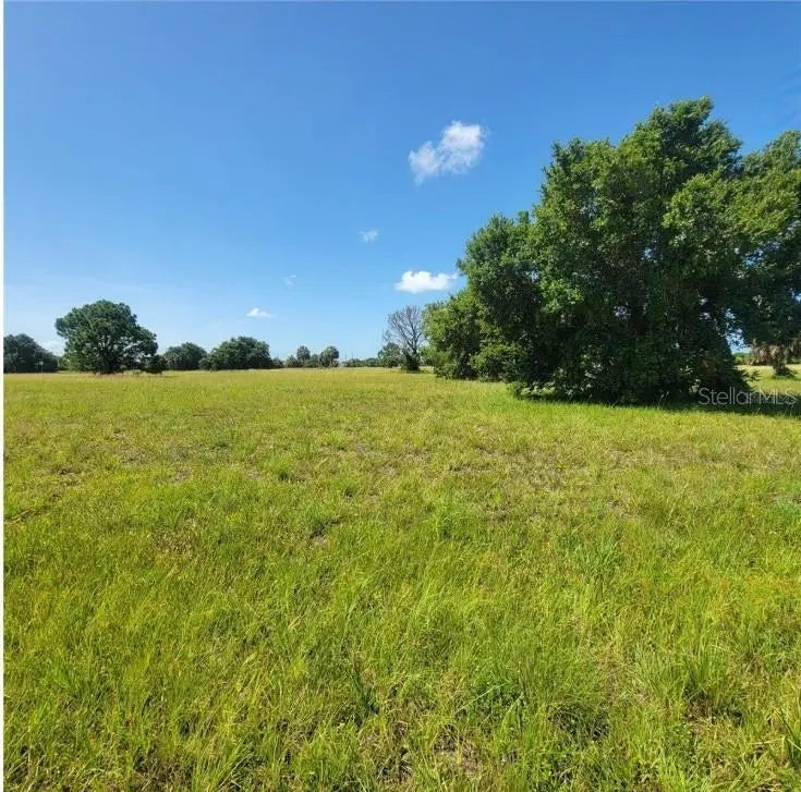 Photo of Listing #TB8457059