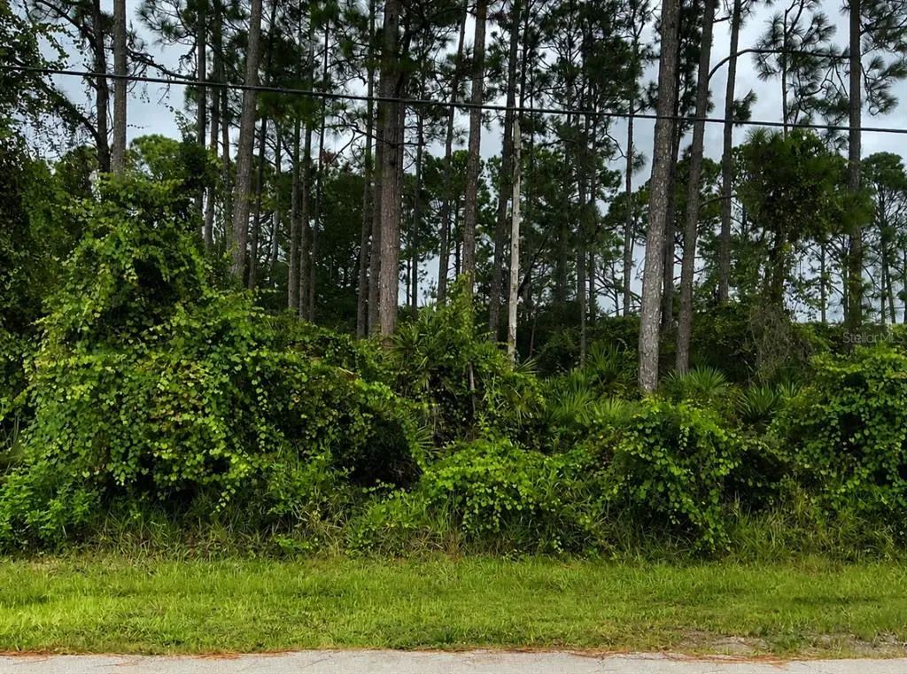191 Boulder Rock Drive, PALM COAST