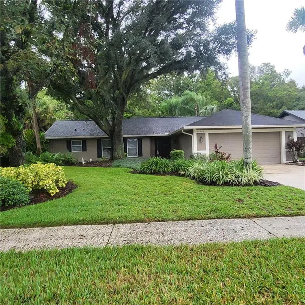 14906 Winterwind Drive, TAMPA