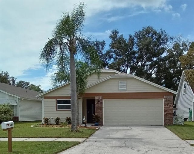 11204 Elmfield Drive, TAMPA