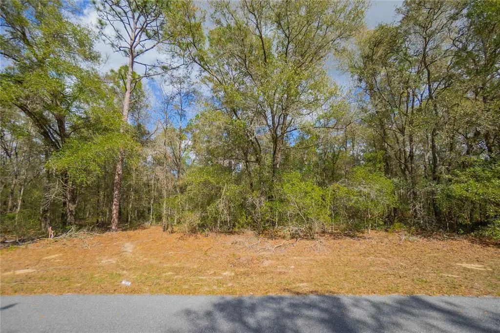 8743 N Sandree Drive, CITRUS SPRINGS