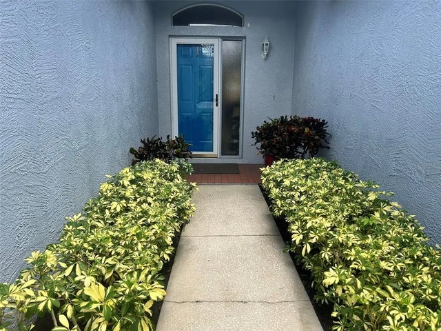 245 Hemingway Drive, OLDSMAR