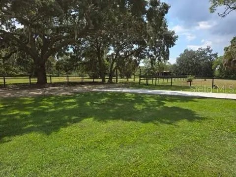 8132 Honeybee Lane, TAMPA