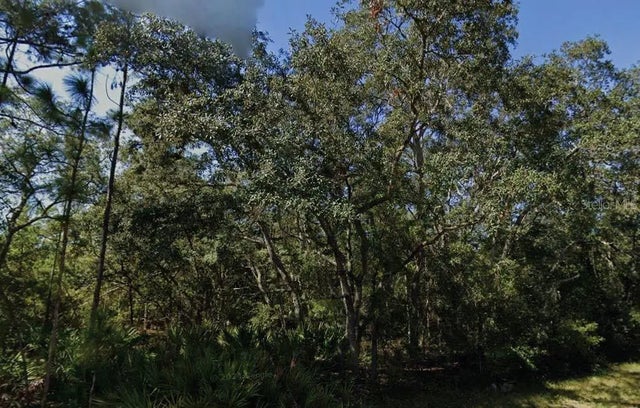 Theresa Avenue, INTERLACHEN