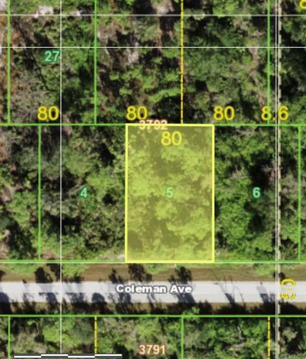 11988 Coleman Avenue, PORT CHARLOTTE