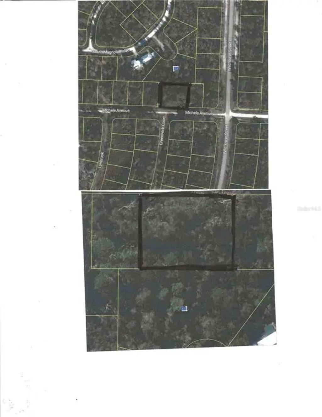 3205 Michele Avenue, LAKE PLACID