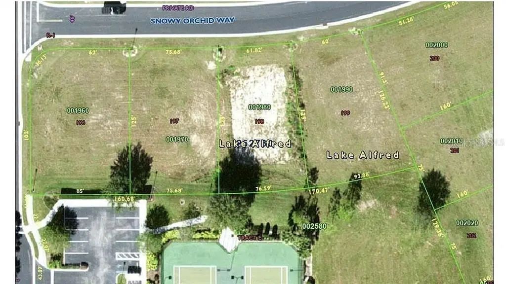 225 N Snowy Orchid Way, LAKE ALFRED