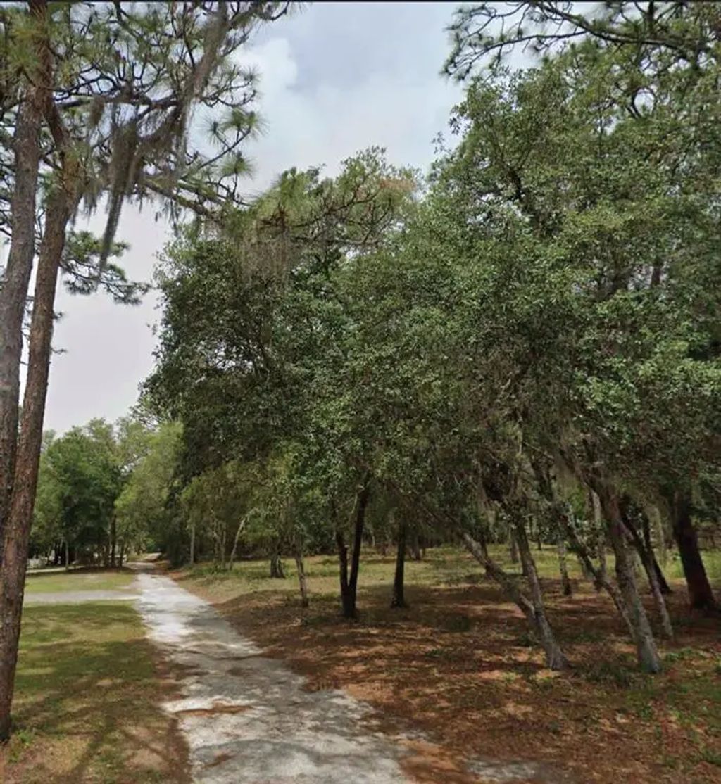 1163 E Canvas Lane, HERNANDO