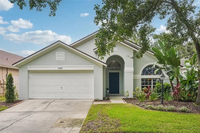 12323 Glenfield Avenue, TAMPA