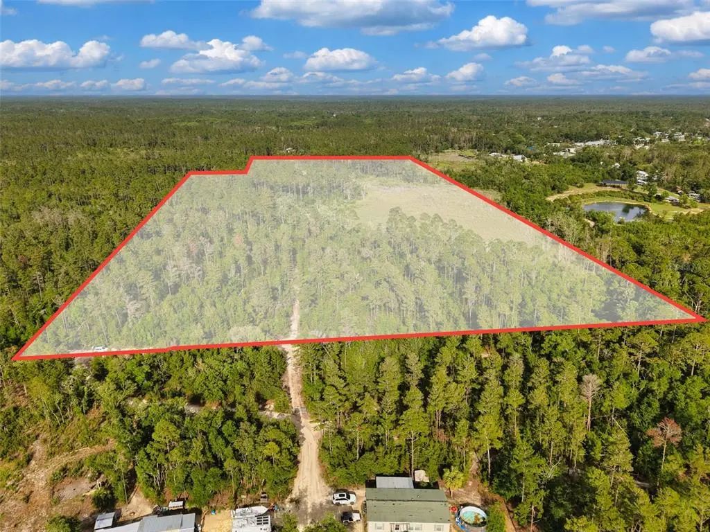 Savanna Lane, STEINHATCHEE
