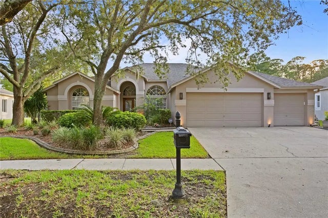 10750 Ayshire Drive, TAMPA