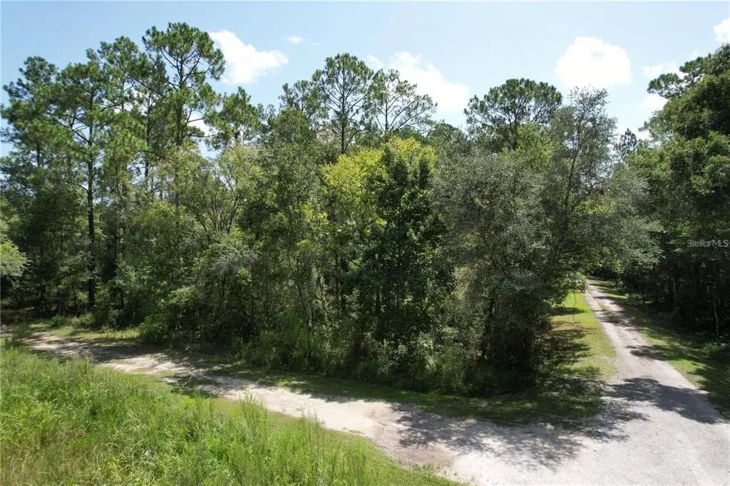 Merryhill Drive, WEBSTER