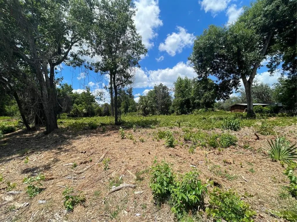 County Road 42, UMATILLA