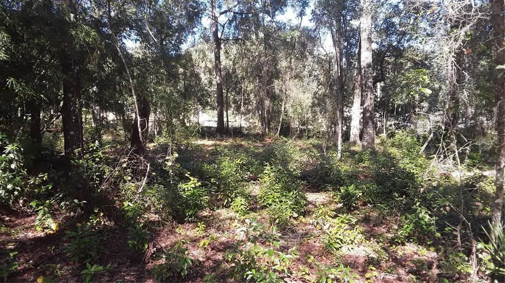 5314 Cucumber Street, SEBRING
