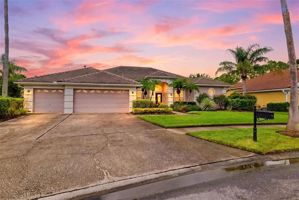 12012 Brewster Drive, TAMPA