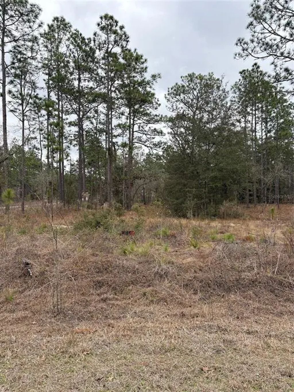 1159 Nw Redwood Drive, DUNNELLON