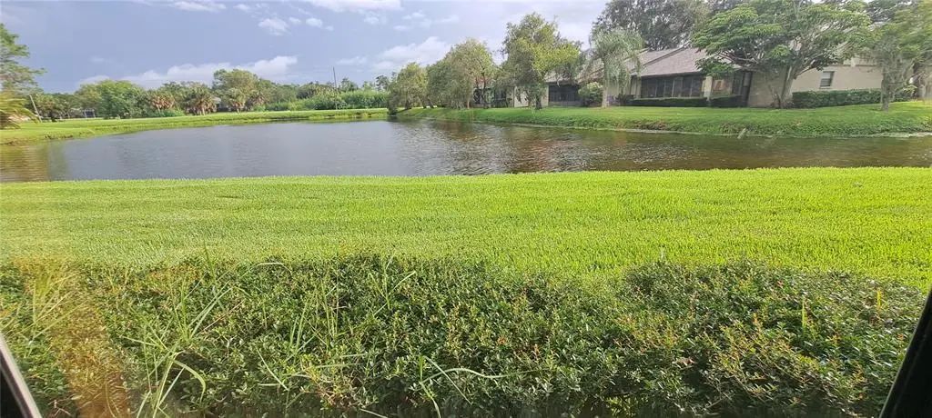 60 Kay Court, OLDSMAR