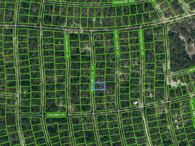 249 Sentimental Drive, LAKE PLACID