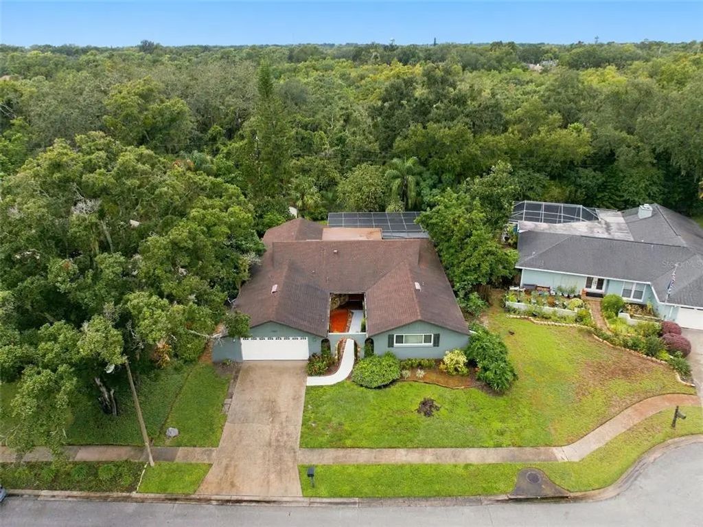 1297 Peach Tree Drive, DUNEDIN